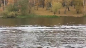 Hidea 5 Nordik 290 lt вид с берега