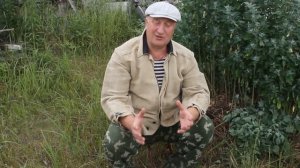 САМАЯ ПОЛЕЗНАЯ ТРАВА ДЛЯ КУР ! ЧТО ДАВАТЬ КУРАМ !