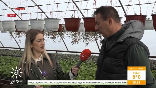 Вуковићи из Гомјенице код Приједора производе цвијеће
