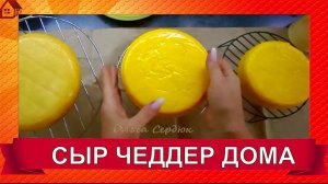 ДОМАШНИЙ СЫР ЧЕДДЕР * Подробно с разбором моих ошибок / homemade cheese cheddar