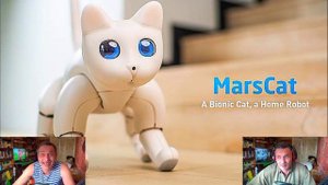 На выпуск робота кота MarsCat собрано почти в десять раз больше средств