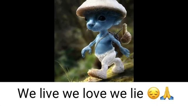 top 5 we live we love we lie смотреть онлайн