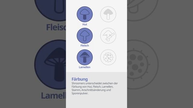 Tintenfischpilz (Clathrus archeri) | Färbung | Praktisches Kurzprofil | Shroomers смотреть онлайн