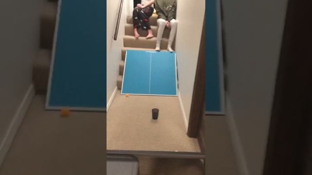 Ping pong ball of ping pong table #trickshots #viral #pingpong #subscribe #like смотреть онлайн