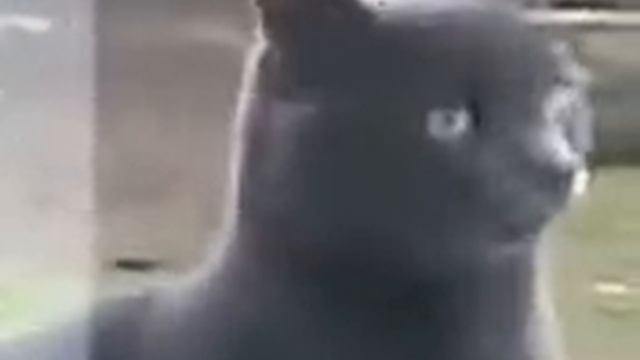 Сань, открой холодно.
