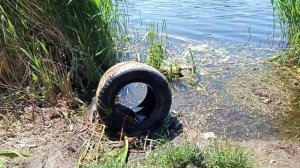 Бешеный клёв на секретную прикормку. Октябрьское водохранилище