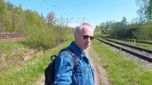 Вокруг Мартышкино: мосты ОРАНЭЛы