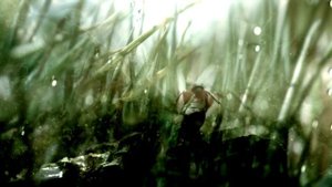 Игорь Караулов и его стихотворение "Война не будет длиться вечно..."