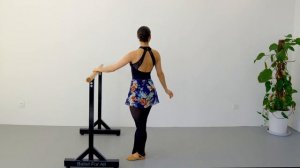 Ballet Barre Stretching Routine | FOLLOW ALONG Stretching Exercises