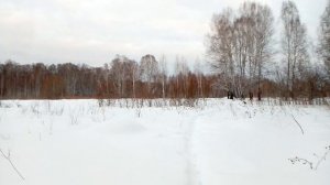 Дым в лесу. Охотничий домик.