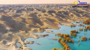 Как Победить Любую Болезнь С Помощью Силы Мысли и Осознанности l НИКОШО и Экхарт Толле