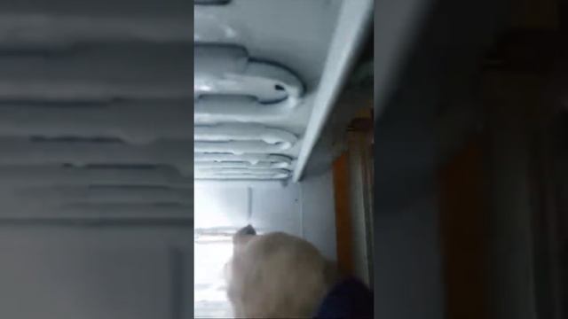 Профилактика Холодильника,цена 10 Тыс смотреть онлайн