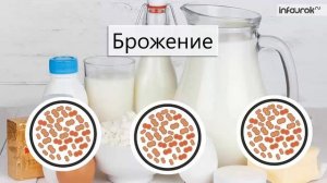 Роль бактерий в природе и жизни человека | Биология 6 класс #7 | Инфоурок