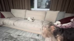 ‼️ЗАЧЕМ Я ЭТО ЗАТЕЯЛА⁉️?ТЕПЕРЬ ЖАЛЕЮ☹️ТУРЦИЯ АНТАЛИЯ