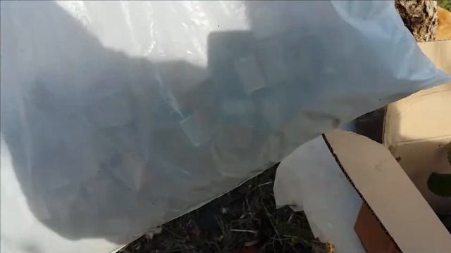 72.Земклуника из "ВСЕ СОРТА".Посылка.Отзыв. смотреть онлайн