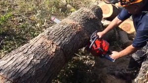 Efco MT 6500 Chainsaw at Tyson mowers