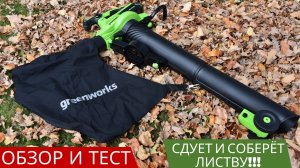 Аккумуляторная воздуходувка пылесос Greenworks GD40BVII??