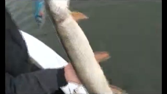 рыбалка видео щука смотреть онлайн