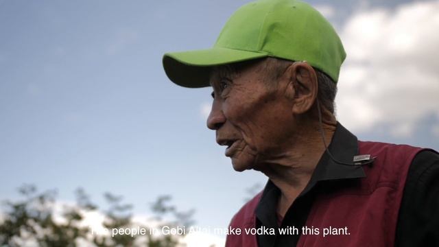 Nalaikh District Agriculture (growing vegetables) Mongolia. смотреть онлайн