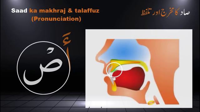 Tajweed Quran  Quran Tajweed  Arabic Alphabet with pronunciation  Tajweed Makhraj 3D  Arabic