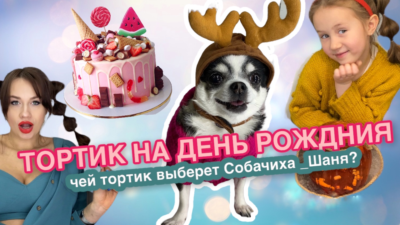 ТОРТИК НА ДЕНЬ РОЖДЕНИЯ. Крутой Челлендж с тортом. Какой торт выберет Собачка Шаня на Happy birthday