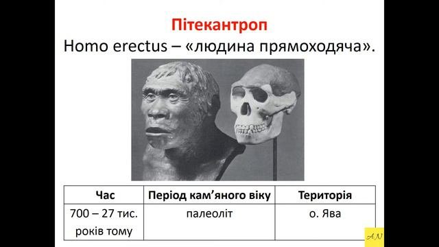 6 класс. Всемирная история. Урок №3. Еволюція людини