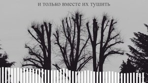 Дворы - ssshhhiiittt! (текст)