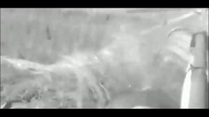 ХРОНИКА СССР!!1978г  Саратовская обл  уборка урожая