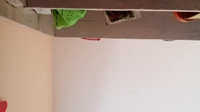Sleep Stream