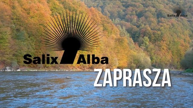 Pokrowce, torby, kosze wędkarskie Salix Alba смотреть онлайн