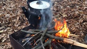 cooking tea in the woods | Чай в лесу. Самурский лес. Дагестан
