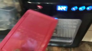 Проверяем яйца бананоедов,оплод или нет.Как подписываю яйца.Кладем в инкубатор.Просвечиваем яички.