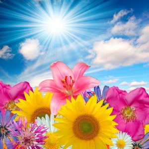 На Руси не зря живём. Шансон