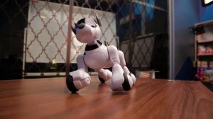 Робот-собака, радиоуправляемый «Koddy»