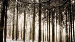 Песенка Морозный денек