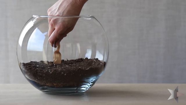 How To Build a Succulent Terrarium смотреть онлайн