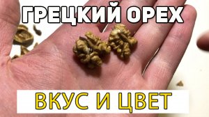 Грецкие орехи. Внешний вид Ядра и Вкус.