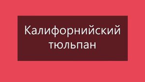Коллекционные томаты. Часть 3 КАТАЛОГА томатов 2022 года, выращенных в Кировской области