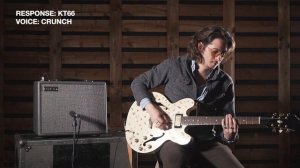 True Boutique Character, Tone and Response | Silverline Standard | Blackstar