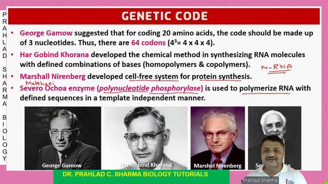 Molecular basis of inheritance-v