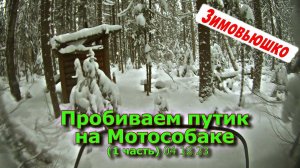 Пробиваем путик на Мотособаке (1 часть) 04 12 23