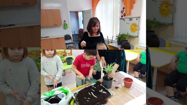 Опытно - экспериментальное занятие ." Посадка комнатных растений "