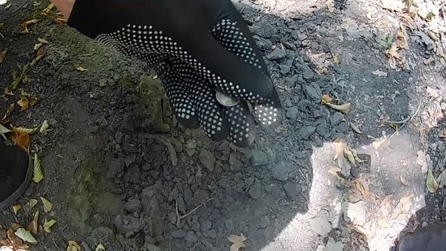 Копаем старые монеты смотреть онлайн