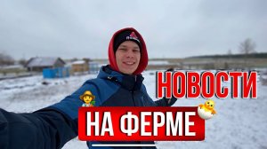 ЧП НА ФЕРМЕ ! БЕЗ ПРОИСШЕСТВИЙ НИКАК / Подарок для нашей Фермы  Наше птичье царство