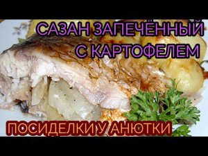 Сазан запечённый с картофелем в духовке!