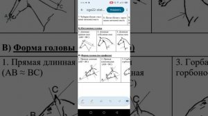 13 задание ОГЭ по биологии с лошадью.