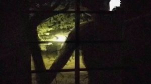 Unnerving images by Me, Trevor Henderson, Ssskinwalker, and Leovincible with the Doom theme