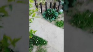 Как выкопать траншею под канализацию вручную