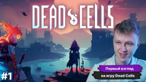 ПЕРВЫЙ ВЗГЛЯД НА ИГРУ И ПЕРВЫЕ 5 ЗАБЕГОВ - Dead Cells прохождение #1