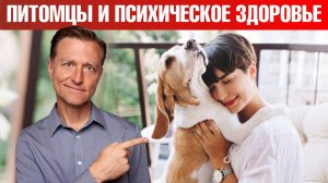 Как домашние питомцы влияют на наше душевное здоровье?😻